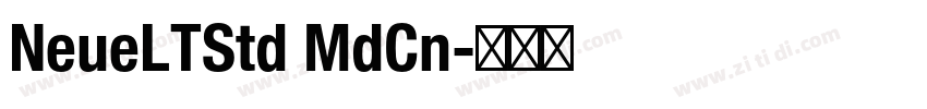 NeueLTStd MdCn字体转换